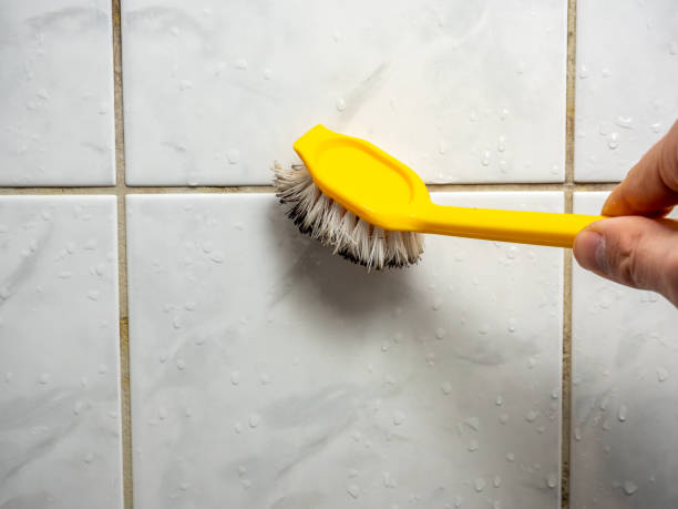  White Center, WA Mold Removal Pros