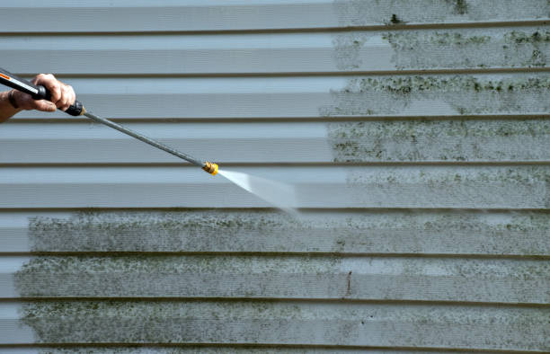 Best Mold Cleaning Services  in White Center, WA
